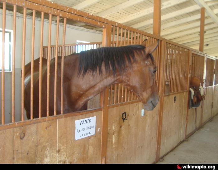 first generation horse stable