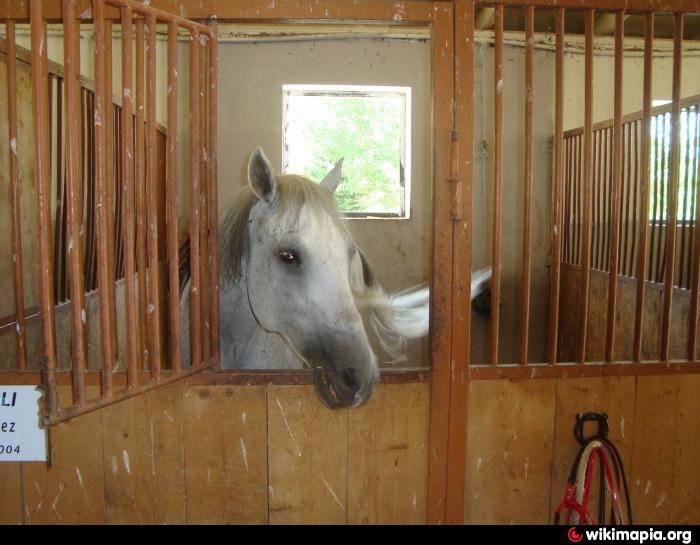 first generation horse stable