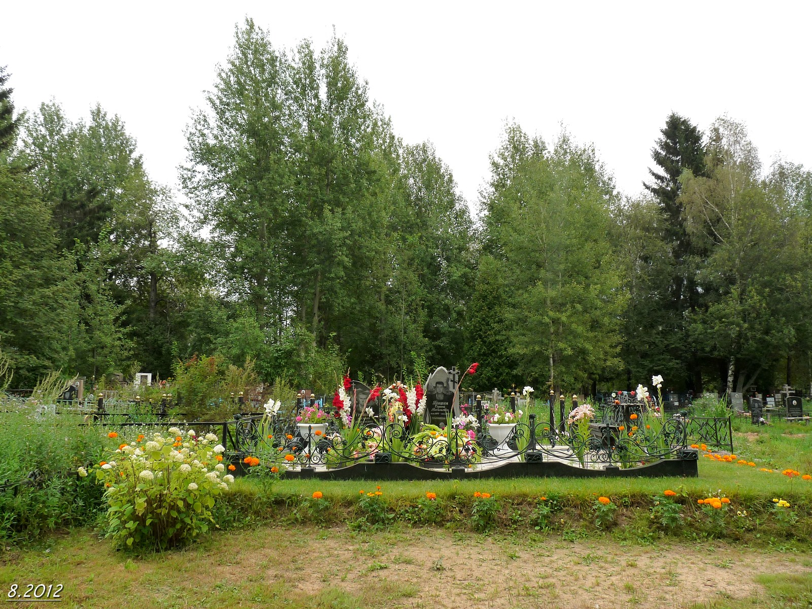 Кладбище Балашихинский район