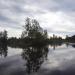 Озеро в городе Посёлок им. Цюрупы