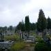 Cemetery in Chełm city