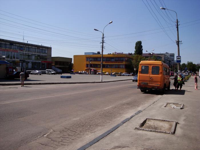 Central Supermarket Vasylkiv