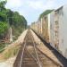 CSX (ACL) WELDON CONNECTION Interlocking