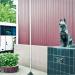 Памятник служебным собакам МВД РФ в городе Москва
