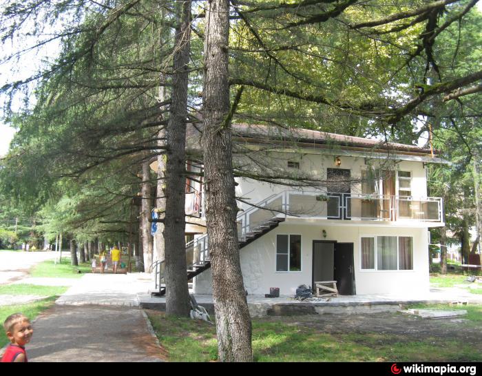 Арго ул гочуа 45 пицунда фото Pitsunda city Photos, Photos of Pitsunda city - Page 5