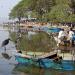 Fishery in Awassa city