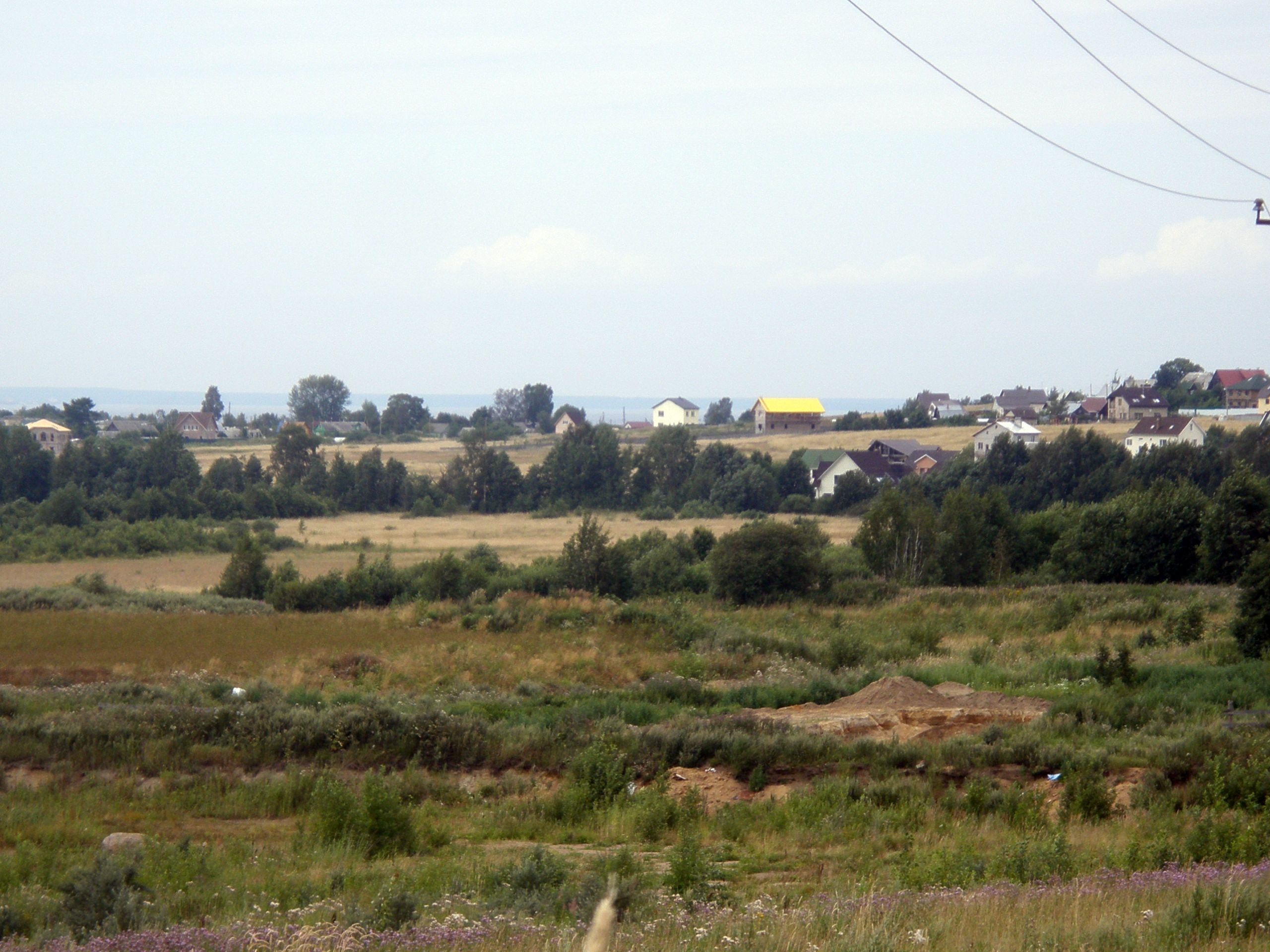 Peniki