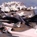 Douglas EKA-3B Skywarrior in San Diego, California city