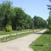 Карађорђев парк in Зрењанин city