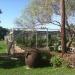 Container Nursery in College Station, Texas city