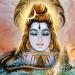 shiv mandir (hi) in Ajmer city