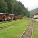 Main station of Bieszczady Forest Railway