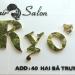 Tạo mẫu tóc, uốn, nhuộm Hair Salon Ryo trong Hải Phòng (phần đất liền) thành phố
