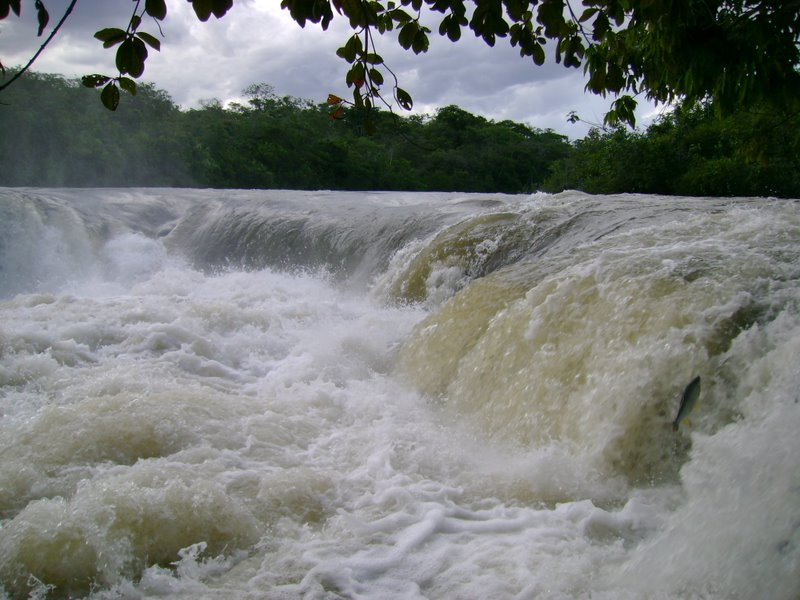 Água Clara (Español)
