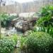 Mini Waterfalls in Quezon City city