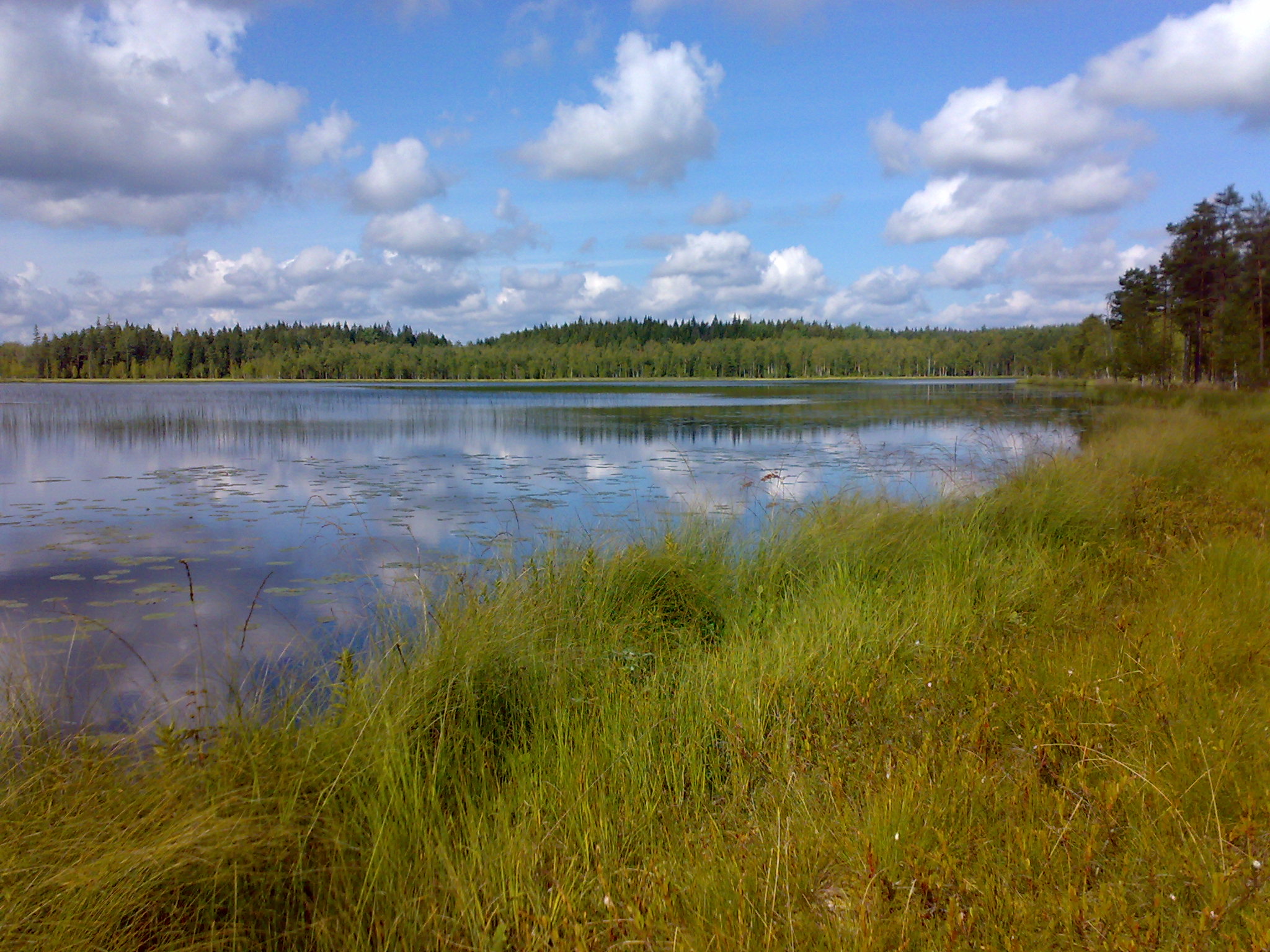Серковское озеро Ивановская область