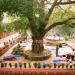 Bodh Gaya in Bodh Gaya city