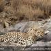 Golestan National Park