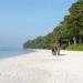 Mangrove Swamp, Little Andaman