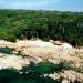 Mangrove Swamp, Little Andaman