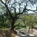 Parque Guinle (pt) in Rio de Janeiro city