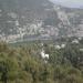 Tiffin Top / Dorthy's Seat : Sohal OS '89( Click here for photo Added by Futon) in Nainital city