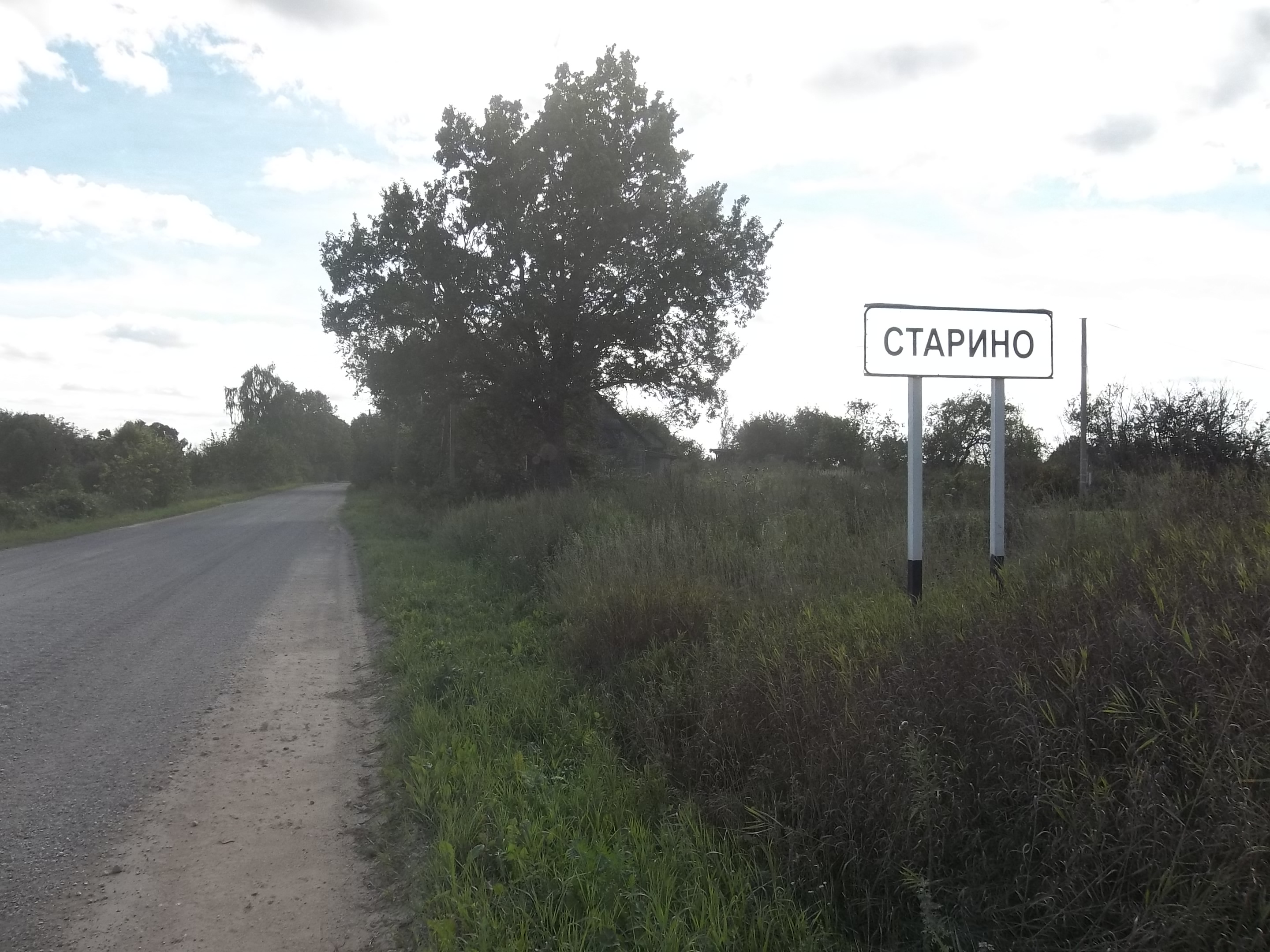 Starina