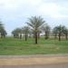 ساحة الاحتفالات (ساحة العروض) في الحديده in Al Hudaydah city