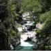 Naveen Adventure & Arctic Adventure, Pirdi in Kullu city