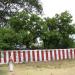 Perumal Temple