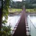 hanging bridge