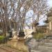 Park trees (Peninsula Nusa Dua) in Nusa Dua city
