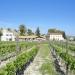 Azienda Vinicola  Librandi