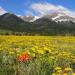 Westcliffe, Colorado