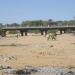 Biriishka1aad ee Burco  in Burao city
