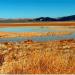 Harper Dry Lake