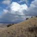 Capulin Volcano National Monument