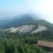 Mount Mitchell State Park