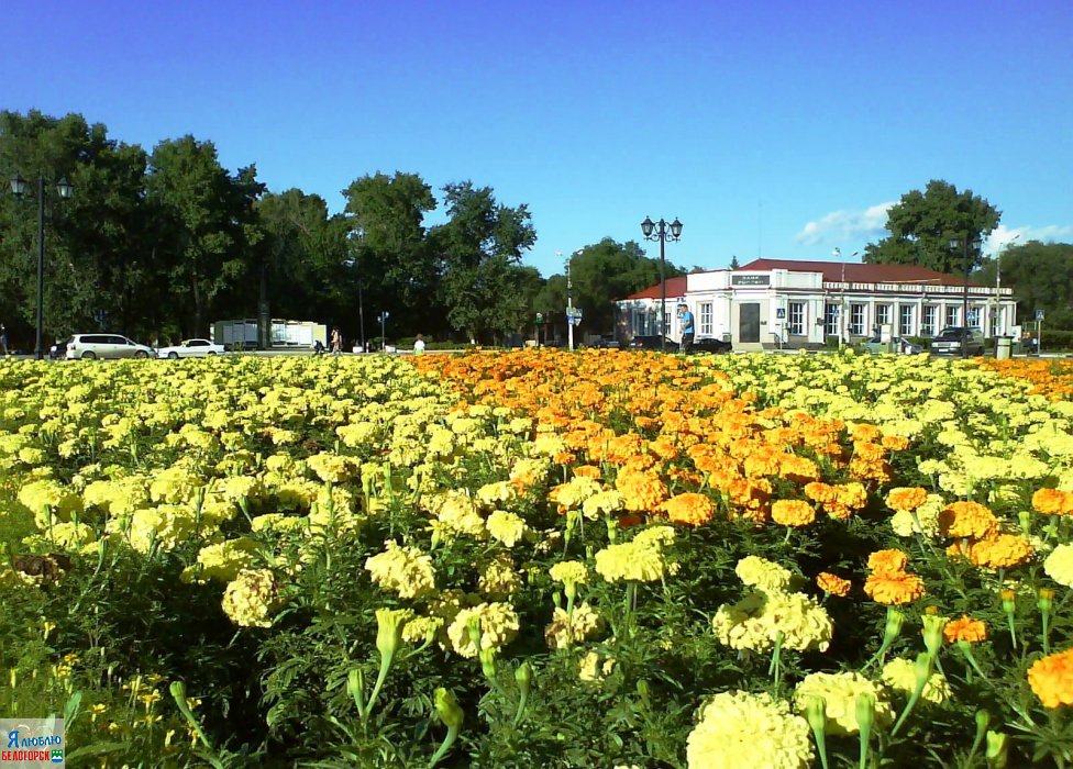 Belogorsk