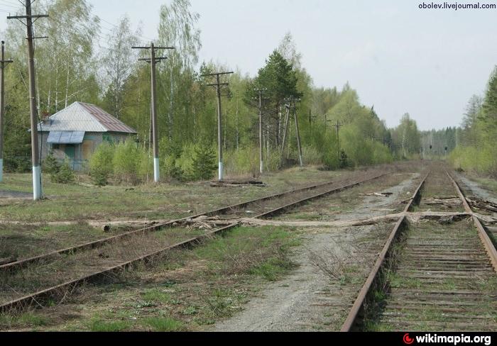 Премия призвание лучшим врачам номинации