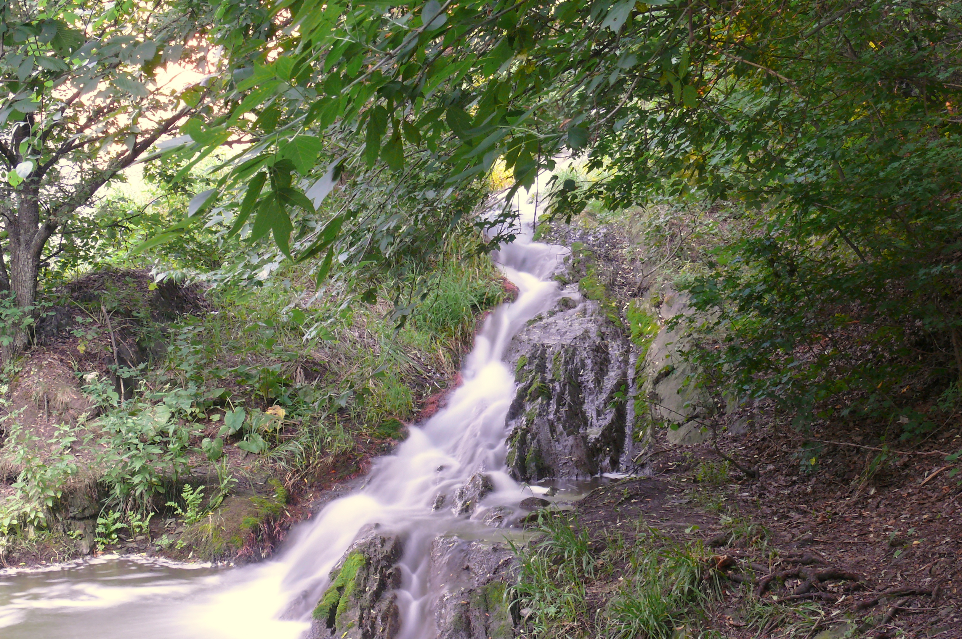 Щербаковский парк Волгоградской области водопады