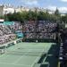 T.E.D. Tenis Eskrim Dağcılık Spor Kulübü (tr) in Istanbul Metropolitan Municipality city