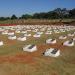 Cemitério Municipal Parque Águas Lindas na Águas Lindas de Goiás city