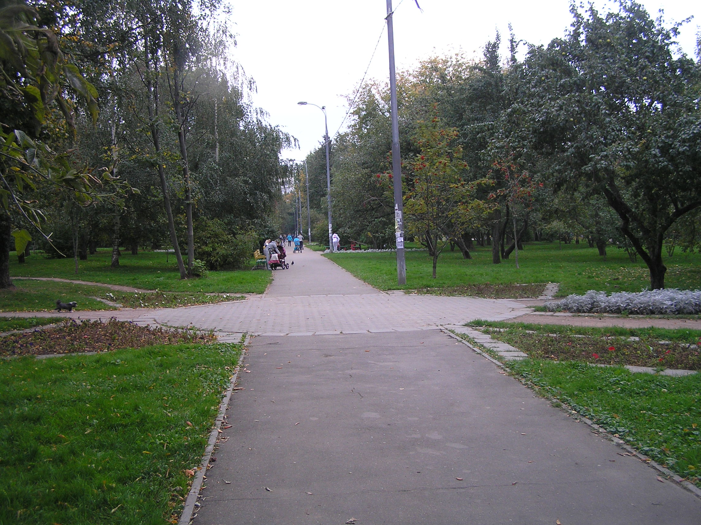 парк в матвеевском