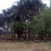 VengalaPottal P. Duraipandi Farm House