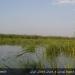 Shadegan Wildlife Refuge