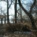 Herastrau Island in Bucharest city