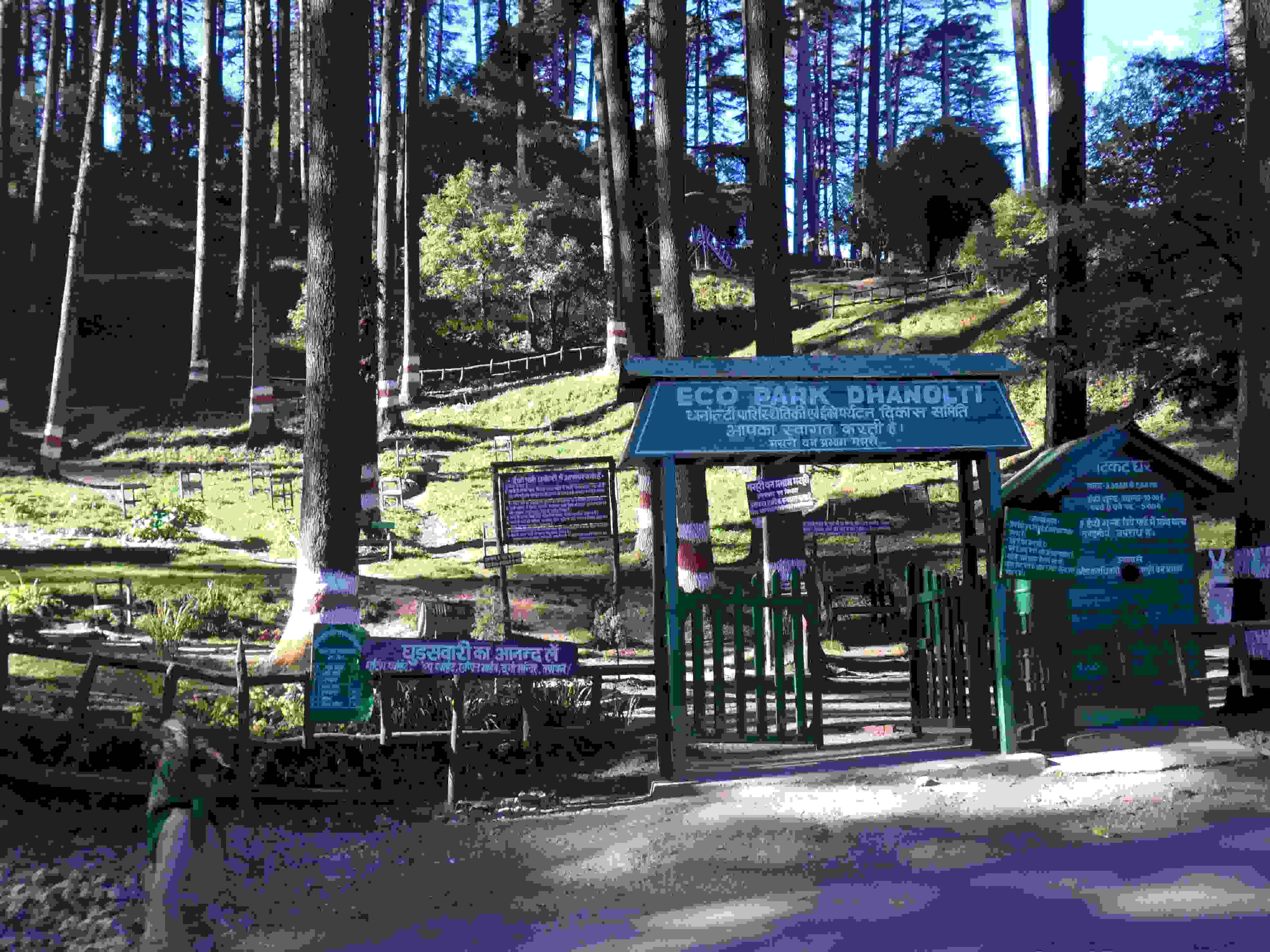 Dhanaulti Eco Park I Dhanaulti