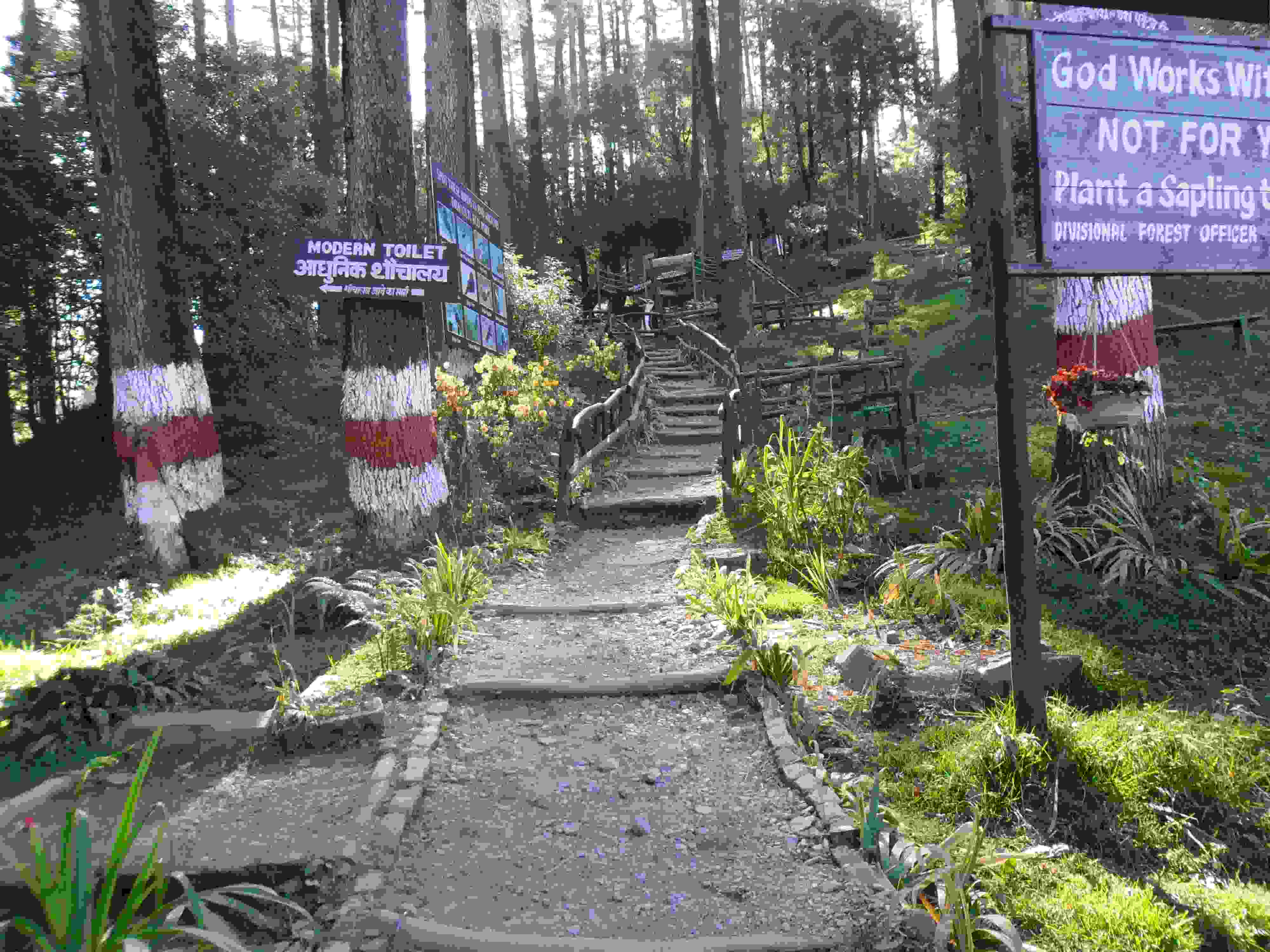 Dhanaulti Eco Park Ii Dhanaulti