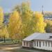 Посадки берёз в городе Ирбит